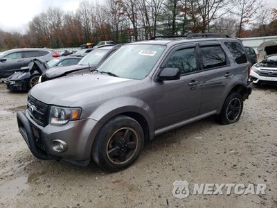 2011 FORD ESCAPE XLT 1FMCU9DG2BKB69534 - główne zdjęcie licytacji z USA - miniatura