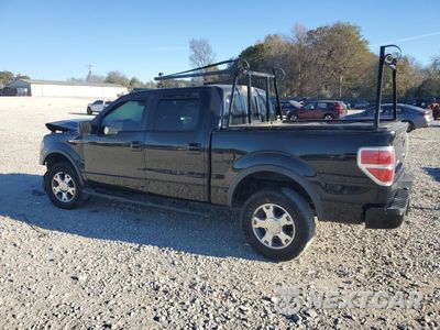 Drugie zdjęcie samochodu z przodu: 2010 FORD F150 SUPERCREW VIN:1FTFW1EV9AFA76849 - miniatura