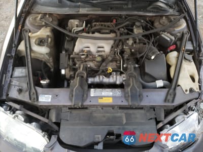 Zdjęcie 12 z 14 samochodu: 1995 CHEVROLET LUMINA VIN:2G1WL52M2S1196974 - miniatura