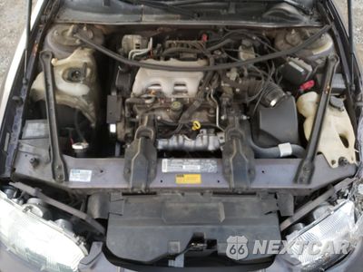 Zdjęcie 12 z 14 samochodu: 1995 CHEVROLET LUMINA VIN:2G1WL52M2S1196974 - miniatura