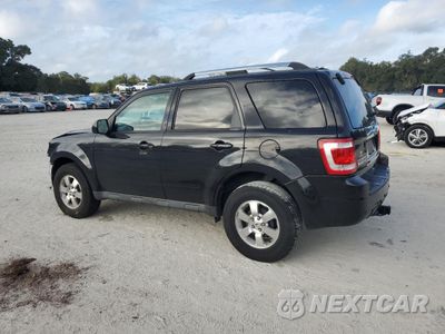 Drugie zdjęcie samochodu z przodu: 2011 FORD ESCAPE LIMITED VIN:1FMCU0EGXBKC02368 - miniatura