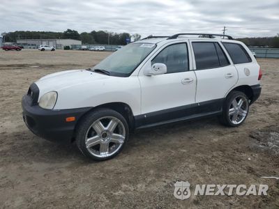 2003 HYUNDAI SANTA FE GLS KM8SC13DX3U565255 - główne zdjęcie licytacji z USA - miniatura