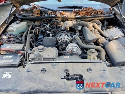 Zdjęcie 11 z 12 samochodu: 2011 LINCOLN TOWN CAR EXECUTIVE VIN:1L1FM88W67Y614291 - miniatura