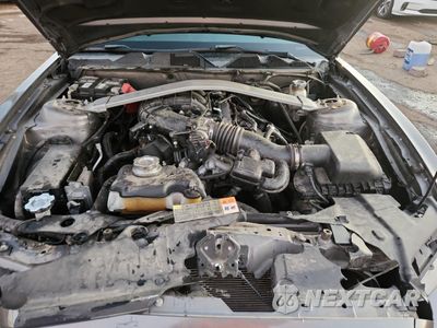 Zdjęcie 11 z 13 samochodu: 2013 FORD MUSTANG VIN:1ZVBP8EM4D5218348 - miniatura