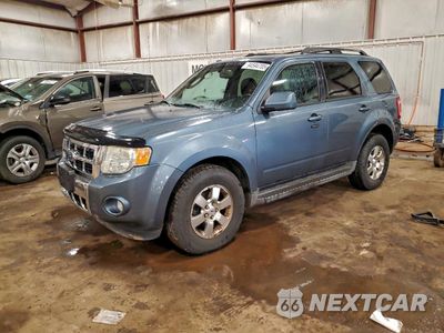 2011 FORD ESCAPE LIMITED 1FMCU9E77BKC58627 - główne zdjęcie licytacji z USA - miniatura