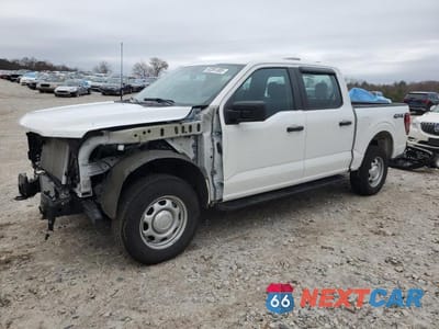 2024 FORD F150 XL 1FTEW1LPXRKD72529 - główne zdjęcie licytacji z USA - miniatura