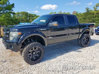2014 FORD F150 SUPERCREW 1FTFW1ET3EFC70555 - główne zdjęcie licytacji z USA - miniatura