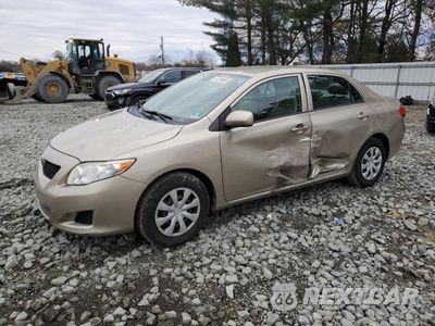 2010 TOYOTA COROLLA BASE 2T1BU4EE8AC341002 - główne zdjęcie licytacji z USA - miniatura