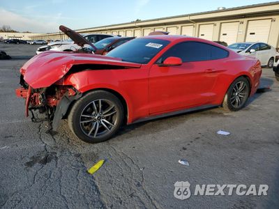2016 FORD MUSTANG 1FA6P8TH6G5236595 - główne zdjęcie licytacji z USA - miniatura