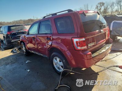 Drugie zdjęcie samochodu z przodu: 2009 FORD ESCAPE XLT VIN:1FMCU03799KC58069 - miniatura