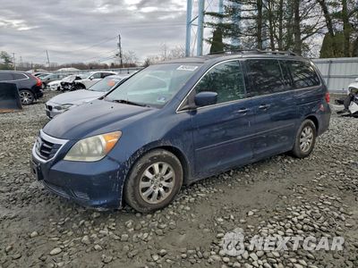 2009 HONDA ODYSSEY EXL 5FNRL38729B012019 - główne zdjęcie licytacji z USA - miniatura