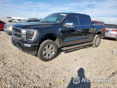 2023 FORD F150 SUPERCREW 1FTFW1E83PFB29998 - główne zdjęcie licytacji z USA - miniatura
