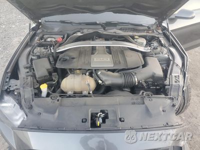 Zdjęcie 11 z 13 samochodu: 2019 FORD MUSTANG GT VIN:1FA6P8CF8K5200818 - miniatura