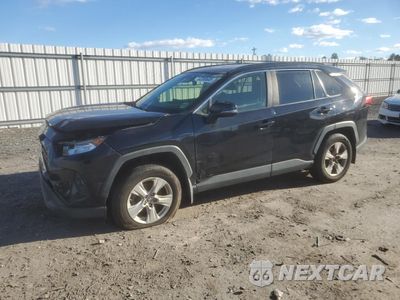 2019 TOYOTA RAV4 XLE JTMP1RFV2KD503981 - główne zdjęcie licytacji z USA - miniatura