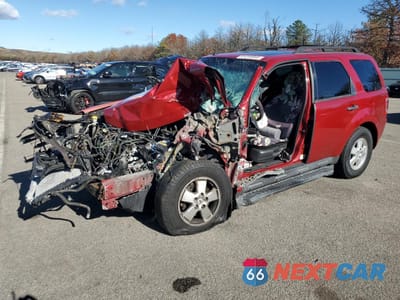 2011 FORD ESCAPE XLT 1FMCU0D79BKB00951 - główne zdjęcie licytacji z USA - miniatura