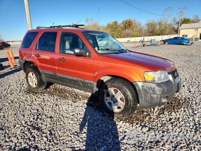 Czwarte zdjęcie samochodu z boku: 2006 FORD ESCAPE XLT VIN:1FMYU03126KC24259 - miniatura