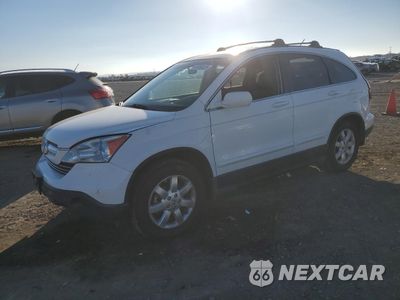 2008 HONDA CR-V EXL JHLRE38718C022257 - główne zdjęcie licytacji z USA - miniatura