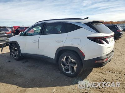 Drugie zdjęcie samochodu z przodu: 2023 HYUNDAI TUCSON LIMITED VIN:5NMJECAE7PH191623 - miniatura