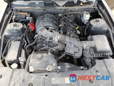 Zdjęcie 11 z 12 samochodu: 2014 FORD MUSTANG VIN:1ZVBP8AM0E5306319 - miniatura