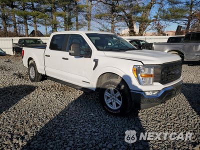 Czwarte zdjęcie samochodu z boku: 2021 FORD F150 SUPERCREW VIN:1FTFW1ED8MFB98405 - miniatura