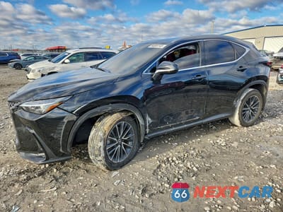 2024 LEXUS NX 350 PREMIUM 2T2GGCEZXRC036988 - główne zdjęcie licytacji z USA - miniatura