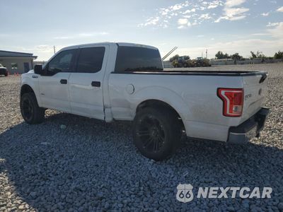 Drugie zdjęcie samochodu z przodu: 2015 FORD F150 SUPERCREW VIN:1FTEW1CF5FKD11768 - miniatura