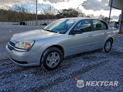 2004 CHEVROLET MALIBU LS 1G1ZT54884F181548 - główne zdjęcie licytacji z USA - miniatura