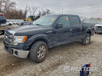 2013 FORD F150 SUPERCREW 1FTFW1EF1DKE55946 - główne zdjęcie licytacji z USA - miniatura