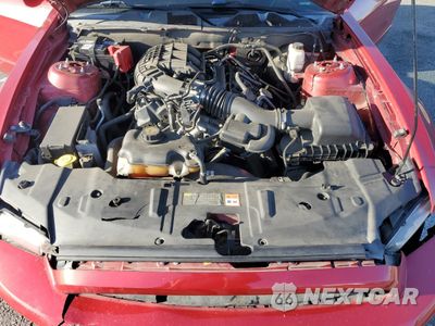 Zdjęcie 11 z 14 samochodu: 2013 FORD MUSTANG VIN:1ZVBP8AM2D5246512 - miniatura