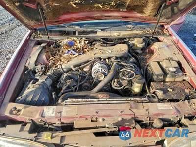 Zdjęcie 11 z 12 samochodu: 1995 FORD THUNDERBIRD LX VIN:1FALP62W7SH202406 - miniatura