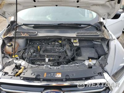 Zdjęcie 12 z 14 samochodu: 2019 FORD ESCAPE SE VIN:1FMCU0GD0KUB80467 - miniatura