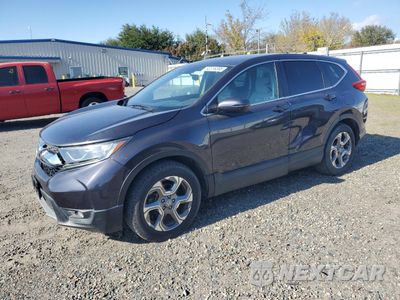2019 HONDA CR-V EX 5J6RW1H51KA022558 - główne zdjęcie licytacji z USA - miniatura