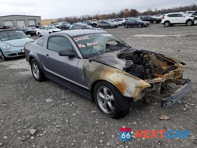 Czwarte zdjęcie samochodu z boku: 2006 FORD MUSTANG VIN:1ZVHT80NX65249337 - miniatura