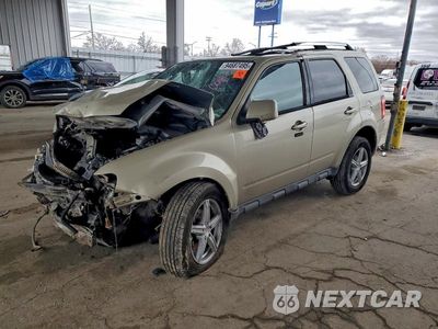 2011 FORD ESCAPE LIMITED 1FMCU9EG6BKC04722 - główne zdjęcie licytacji z USA - miniatura