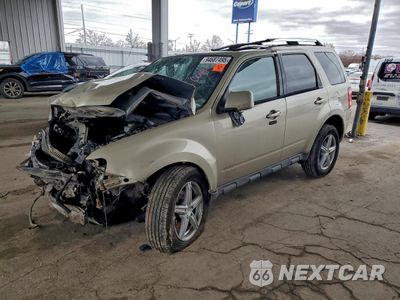 2011 FORD ESCAPE LIMITED 1FMCU9EG6BKC04722 - główne zdjęcie licytacji z USA - miniatura