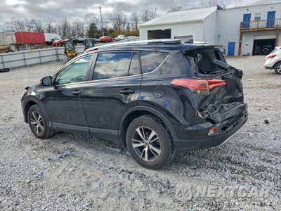 Drugie zdjęcie samochodu z przodu: 2016 TOYOTA RAV4 XLE VIN:2T3RFREV3GW453839 - miniatura
