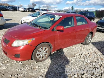 2009 TOYOTA COROLLA BASE 1NXBU40E79Z158630 - główne zdjęcie licytacji z USA - miniatura