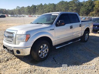 2013 FORD F150 SUPERCREW 1FTFW1CT7DKG02764 - główne zdjęcie licytacji z USA - miniatura