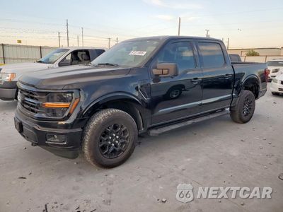 2024 FORD F150 XLT 1FTFW3L82RKE76506 - główne zdjęcie licytacji z USA - miniatura