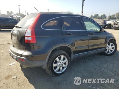 Trzecie zdjęcie samochodu z tyłu: 2009 HONDA CR-V EXL VIN:JHLRE38789C015274 - miniatura