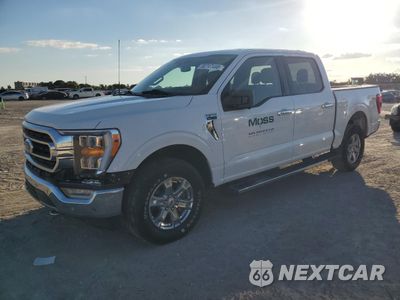 2021 FORD F150 SUPERCREW 1FTFW1E53MFC12378 - główne zdjęcie licytacji z USA - miniatura