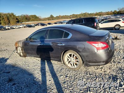 Drugie zdjęcie samochodu z przodu: 2010 NISSAN MAXIMA S VIN:1N4AA5AP8AC848479 - miniatura