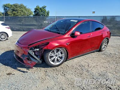 2024 TESLA MODEL Y 7SAYGDED3RF040639 - główne zdjęcie licytacji z USA - miniatura