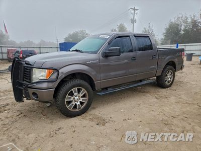 2014 FORD F150 SUPERCREW 1FTFW1EF1EFC61461 - główne zdjęcie licytacji z USA - miniatura