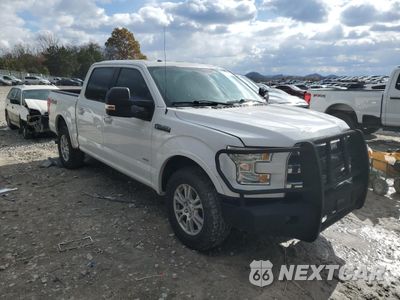 Czwarte zdjęcie samochodu z boku: 2015 FORD F150 SUPERCREW VIN:1FTEW1EG0FFA87131 - miniatura