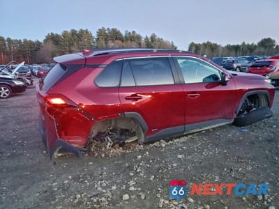 Trzecie zdjęcie samochodu z tyłu: 2025 TOYOTA RAV4 XLE VIN:2T3RWRFV7SW265929 - miniatura