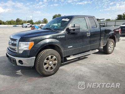 2013 FORD F150 SUPER CAB 1FTFX1ET1DFC18045 - główne zdjęcie licytacji z USA - miniatura