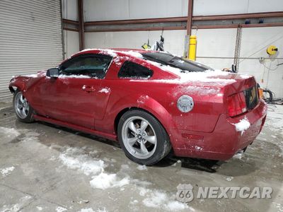 Drugie zdjęcie samochodu z przodu: 2005 FORD MUSTANG GT VIN:1ZVFT82H455239383 - miniatura