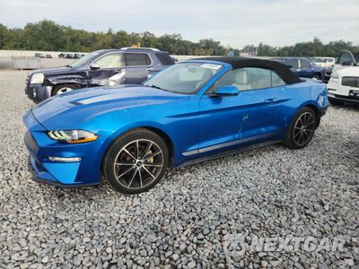 2020 FORD MUSTANG 1FATP8UH4L5156790 - główne zdjęcie licytacji z USA - miniatura