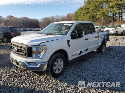 2021 FORD F150 SUPERCREW 1FTFW1ED8MFB98405 - główne zdjęcie licytacji z USA - miniatura